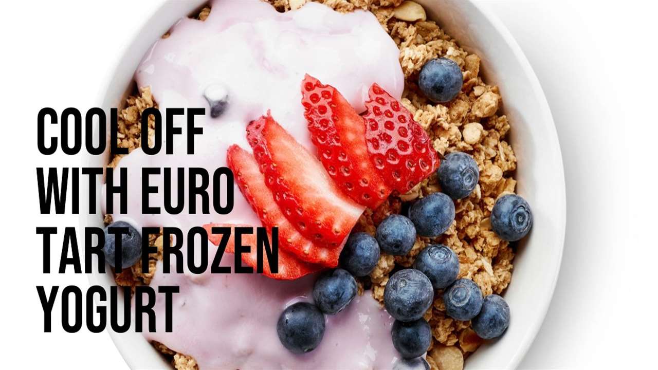 Euro Tart Frozen Yogurt Recipe